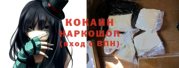 стаф Кулебаки
